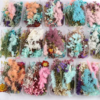 1 Caixa de Real Secas Flor Seca de Plantas para Aromaterapia Vela de Resina Epóxi Pingente Quadro Flutuante Garrafa de Fazer Artesanato DIY Accessorie