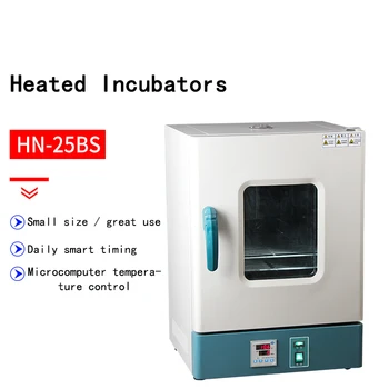 HN-25BS Laboratório de Eletro-térmico Constante temp Microbiana Fermentado Incubadora de Aço Inoxidável Revestimento de Germinação de Sementes Caixa de 200W 220v