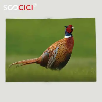 Personalizado de Lã Macia Jogar Cobertor de Aves Comuns de Faisão com Cauda Longa na Grama Verde Prado Habitat República checa Verde