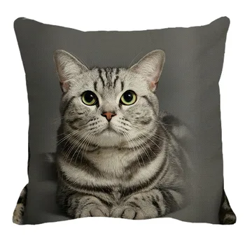 XUNYU 45cmx45m Animal Bonito Somali gato padrão de Roupa Confortável, Capa de Almofada Sofá da Sala Decoração fronha de YH007