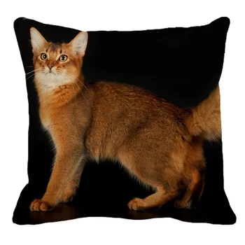 XUNYU 45cmx45m Animal Bonito Somali gato padrão de Roupa Confortável, Capa de Almofada Sofá da Sala Decoração fronha de YH007 3