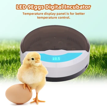 9 de Ovo Automática de Aves Incubadora com Luzes de LED Automático Chocadeira Fazenda Filhote Incubatório Máquina Digital