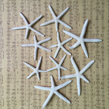 HappyKiss 20pcs 6-10cm Estrelas do mar Branco Real Branco Dedo peixes Estrelas Cortinas conter Grande para um casamento ou festa de assimetria