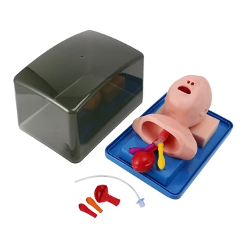 Neonatal Intubação Traqueal Modelo Analógico Duplo De Pulmão E De Estômago Expansão Criança A Intubação Traqueal Modelo De Formação