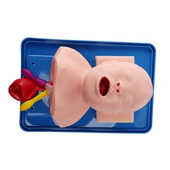 Neonatal Intubação Traqueal Modelo Analógico Duplo De Pulmão E De Estômago Expansão Criança A Intubação Traqueal Modelo De Formação 2