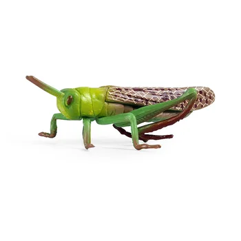 Transfronteiriços de crianças de simulação de animais de insetos modelo estático sólido locust vara de insetos de plástico de brinquedo cena decoração 0